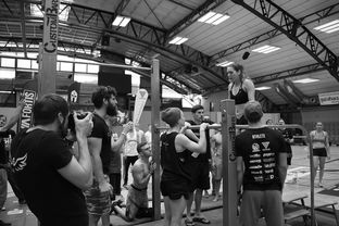 开云在线直播-“2025世界游泳锦标赛：水上芭蕾精彩纷呈，艺术之美与竞技并行”