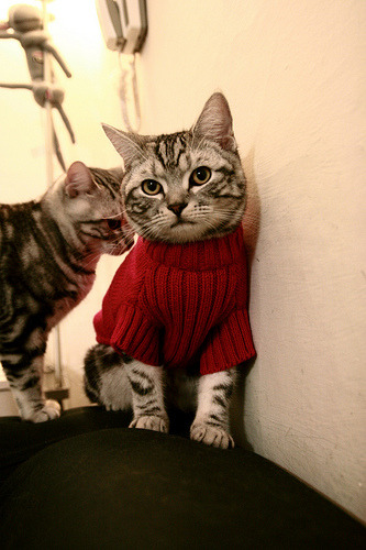 开云体育官网登入-体育新闻中心协同地方文旅部门拓展体育IP合作传播，体育文旅成功案例