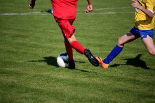 开云·体育全站登录地址-国家体育场馆运营管理论坛探讨智能化方向，国家体育总局体育场馆运营管理办法