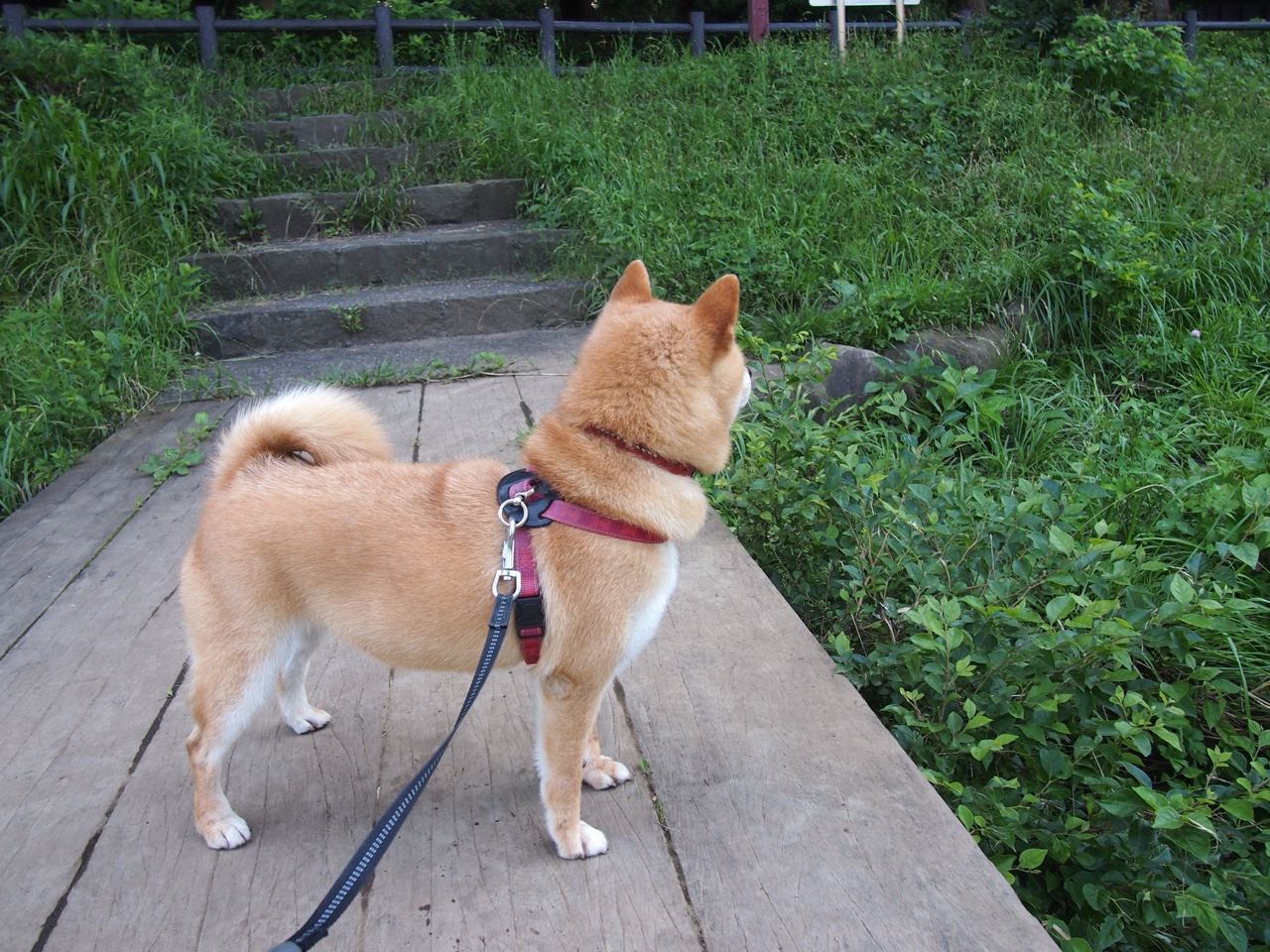 kaiyun官方入口登录-田径赛道老将新秀同台竞技，老将田径锦标赛成绩