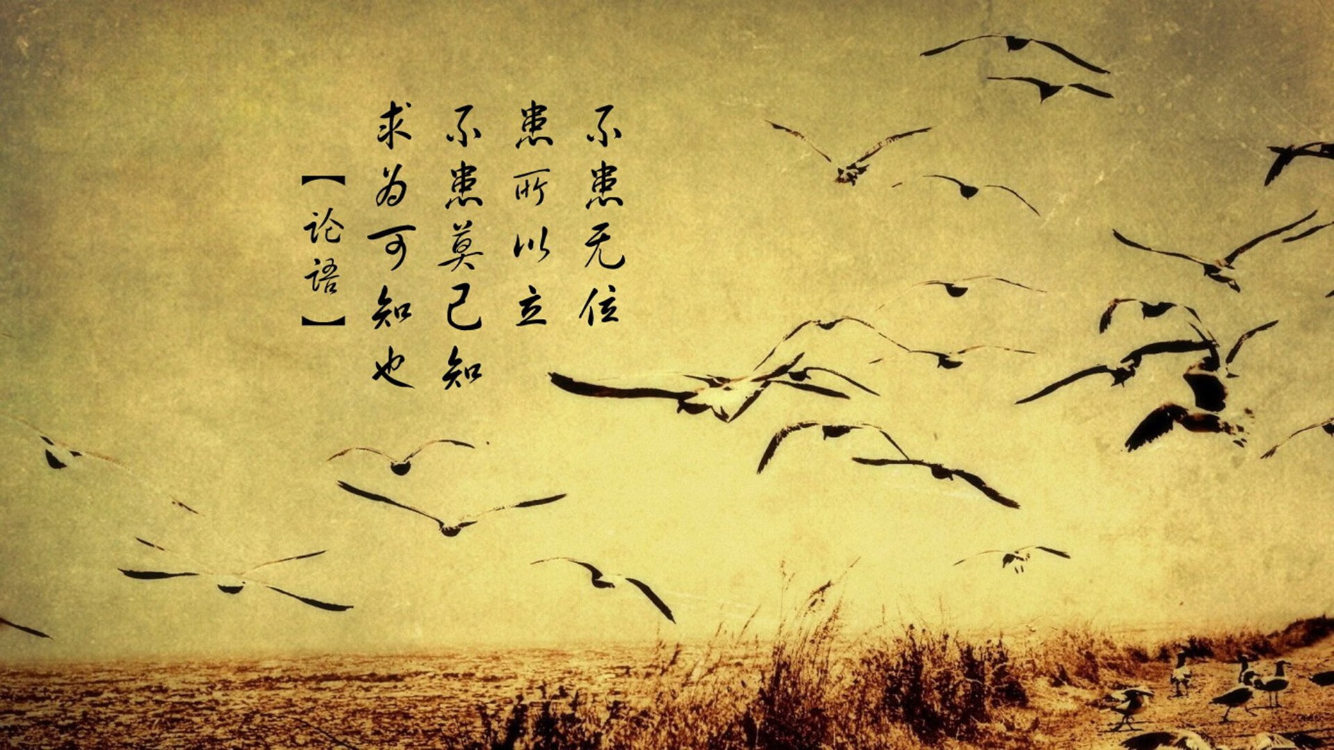 职业联赛主场氛围建设是否能常态化,职业联赛足球场尺寸