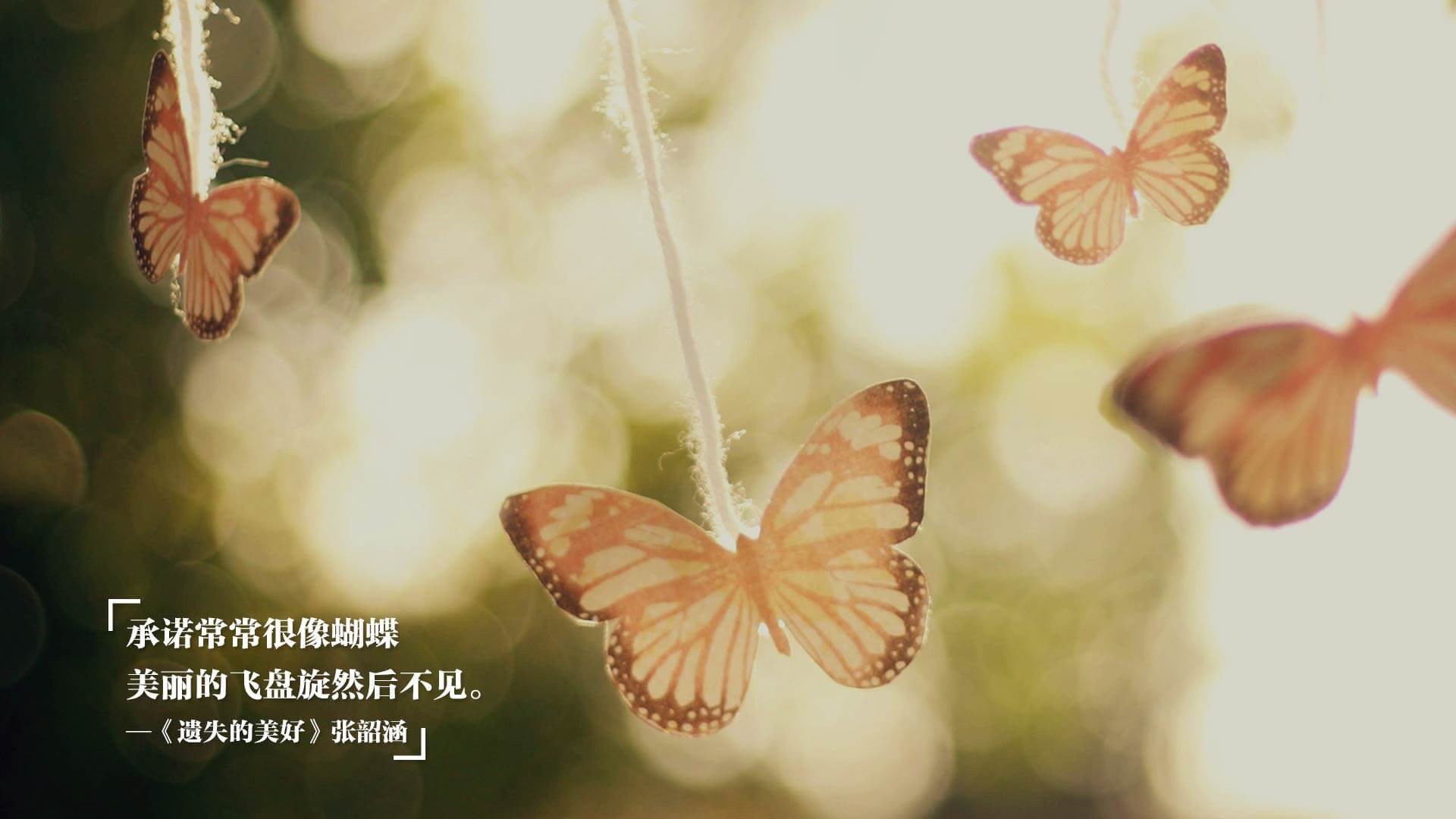 职业联赛主场氛围建设是否能常态化,职业联赛足球场尺寸