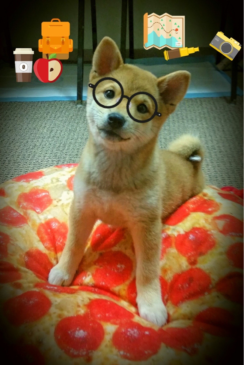 节奏缓慢的球队是否更适合持久战，节奏放缓