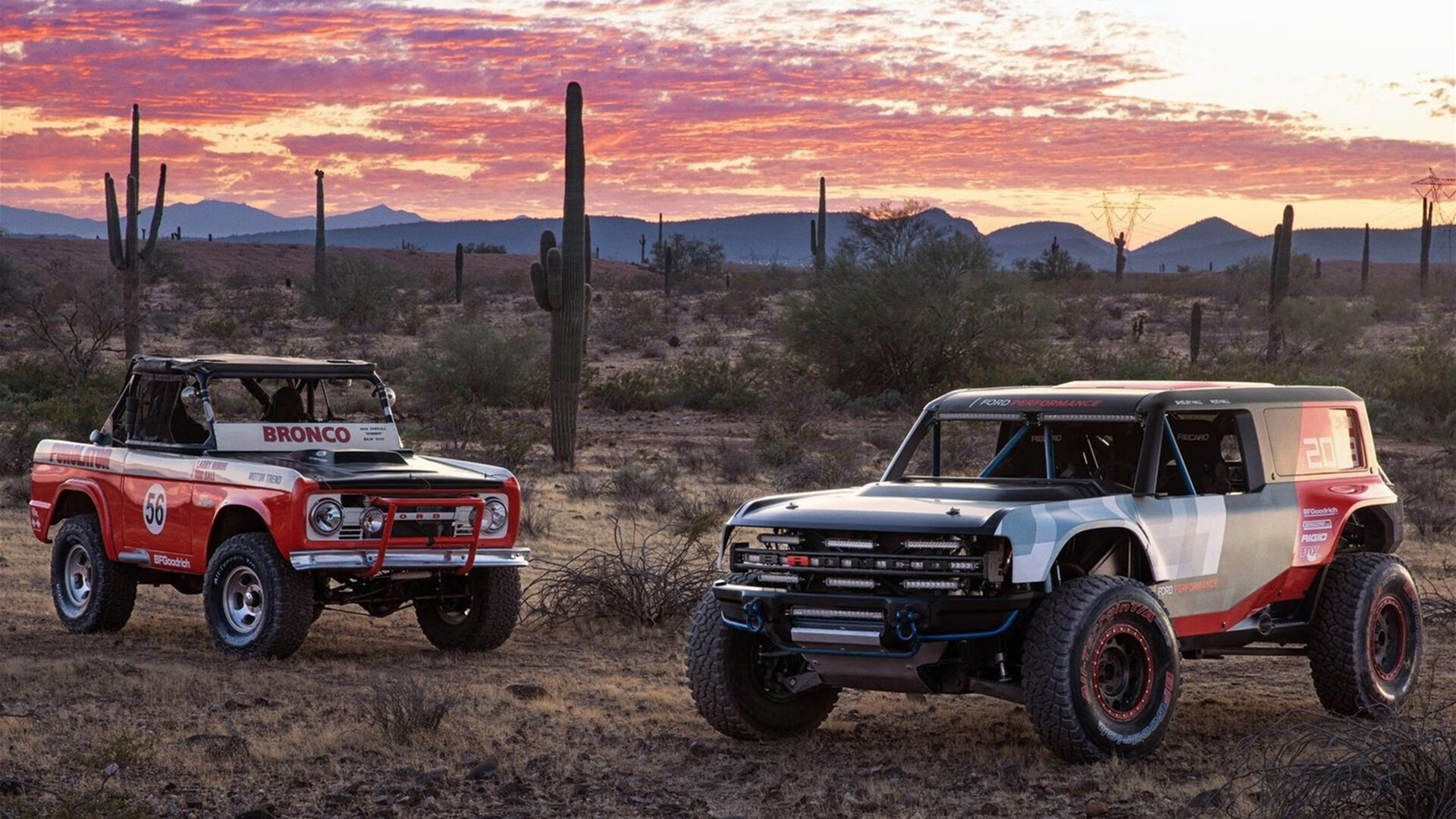 自由搏击赛事走进高校推广防身意识，自由搏击青少年比赛