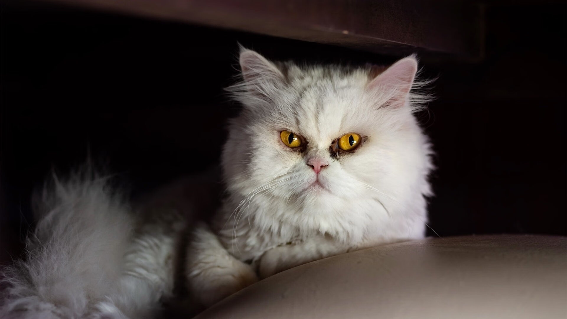 开云官方-勇士新秀与老将结成互助小组共同进步，勇士新秀2020