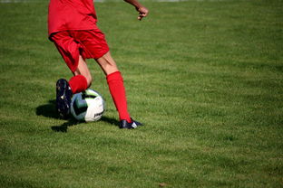 开云网页版登录入口-国脚待遇结构调整引导更多球员留在国内发展，国家队国脚