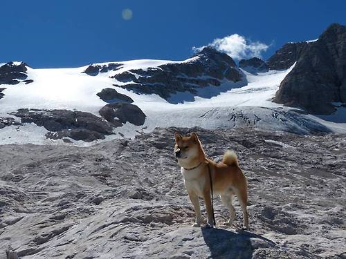 开云网页-威尔士女子橄榄球势头强劲，跻身世界强队行列，橄榄球女子世界杯