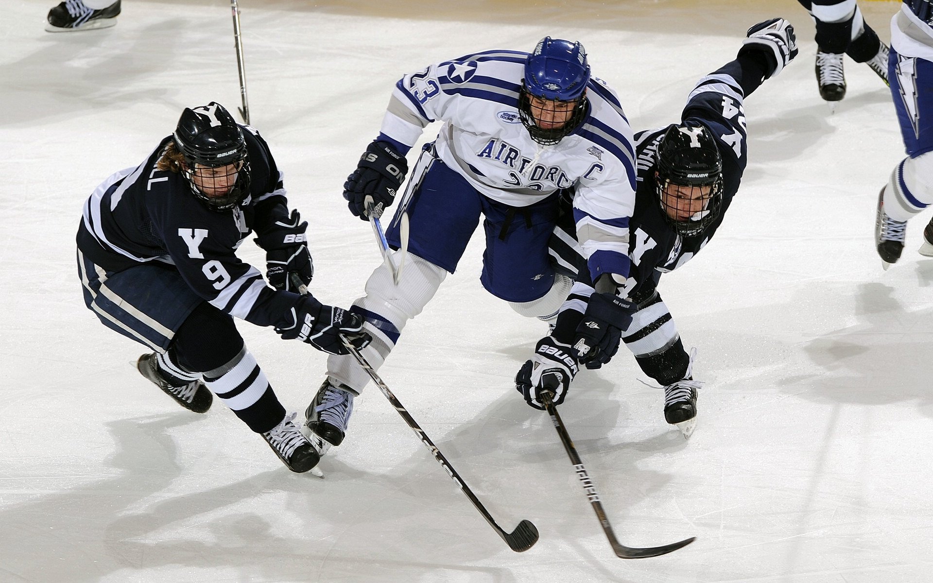 新闻中心发布国家体育信息安全防护项目采购清单，国家体育信息中心主任